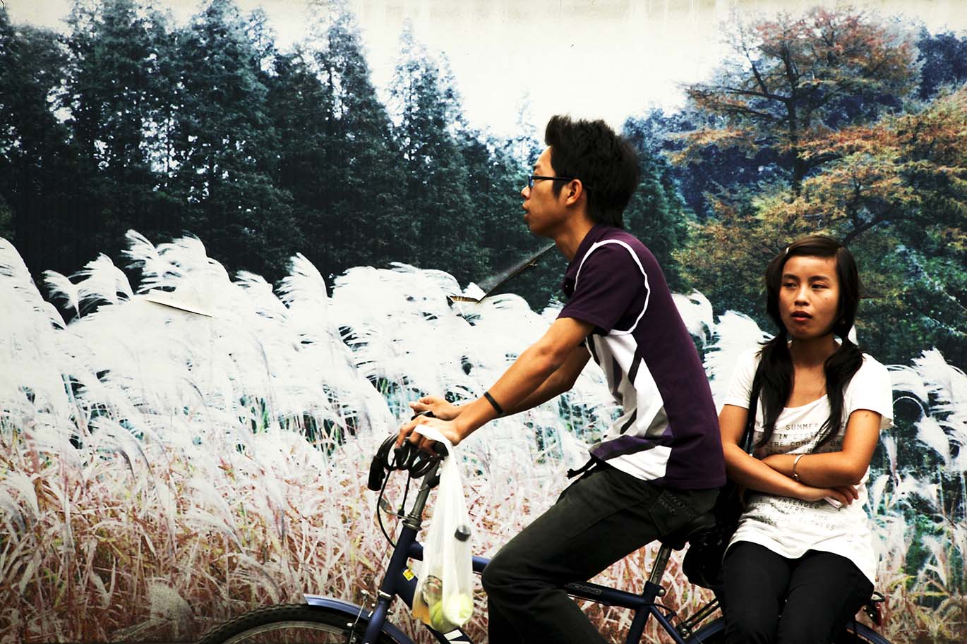 Landscape Wall-Tianmu Rd,Yuqian,Zhejiang Province 16：00，May 30th,2009.jpg