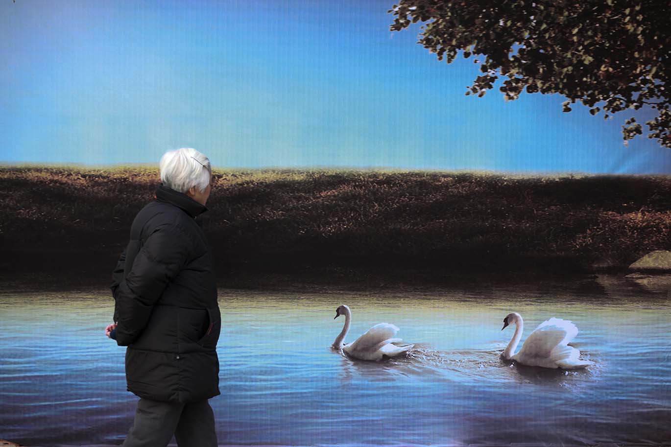 Landscape Wall-Yuhuan Rd Chongming,Shanghai 15：25，Feb 17th,2010.jpg