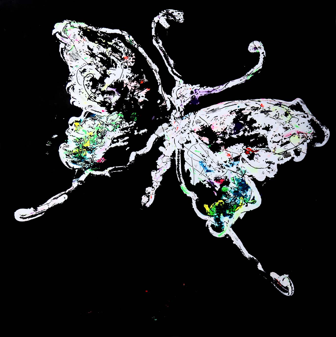 Tracing Series-Butterfly3  Arcrylic and water colour on paper  2018.jpg