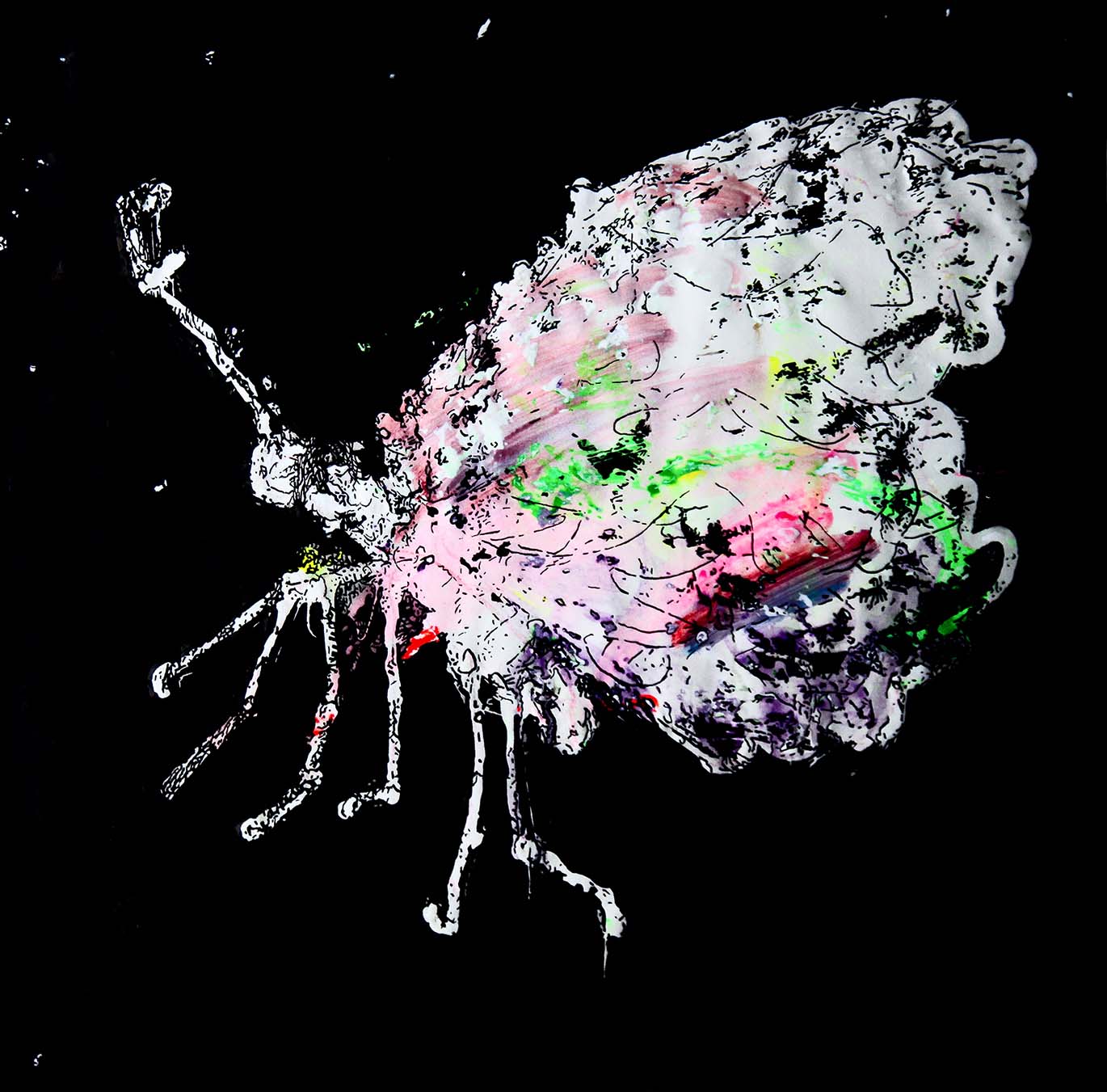 Tracing Series-Butterfly6 Arcrylic and water colour on paper 2018.jpg