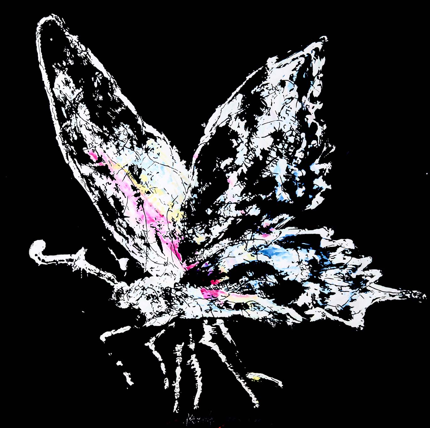 Tracing Series-Butterfly4  Arcrylic and water colour on paper 2018.jpg